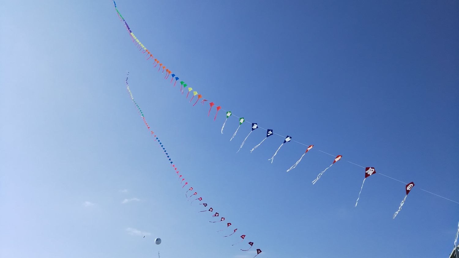 chai kites