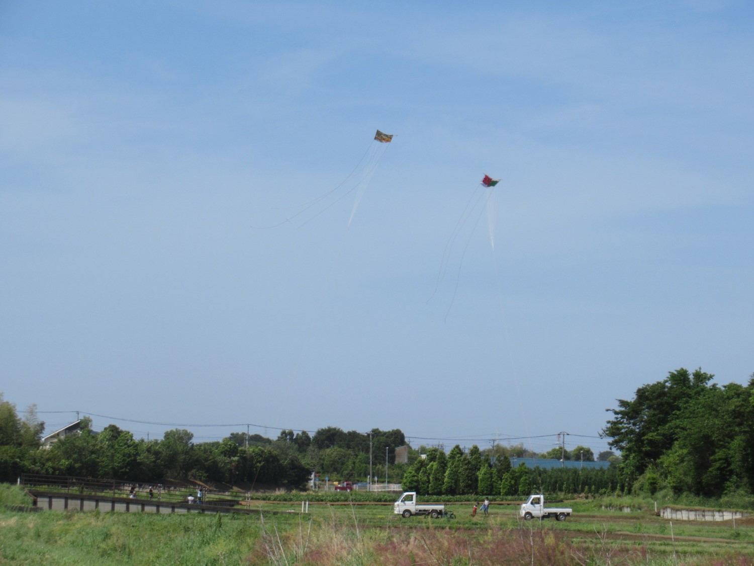 Big kites