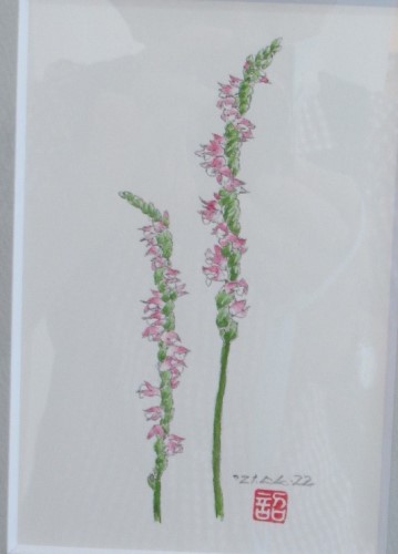 flower postcard