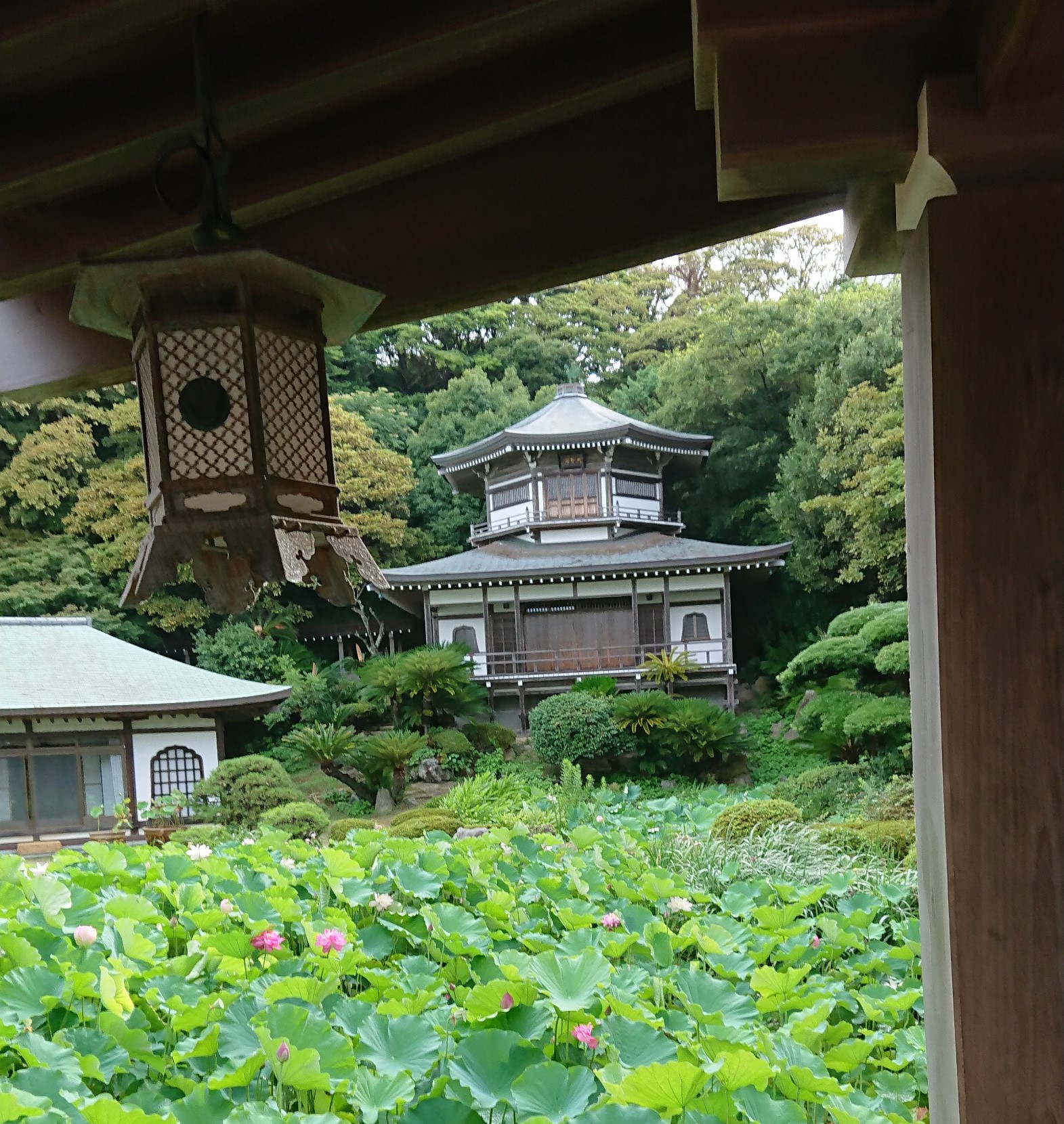  Komyoji Temple