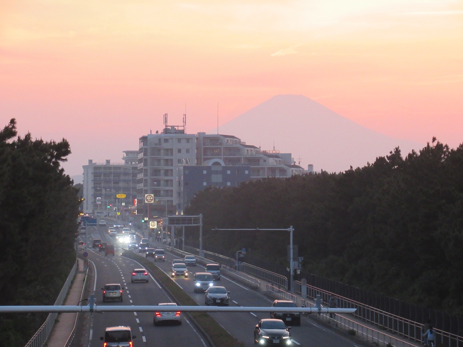 Mt. Fuji and R134 