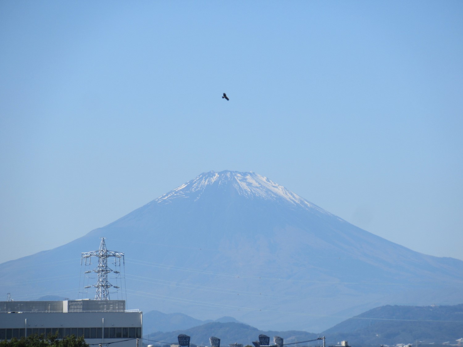Mt.Fuji 